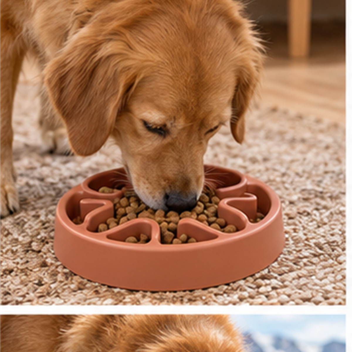 Flower Slow Feeder Bowl in use